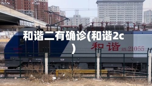 和谐二有确诊(和谐2c)