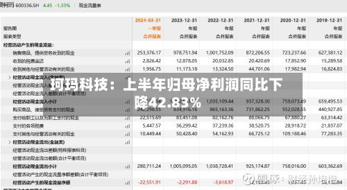 珂玛科技：上半年归母净利润同比下降42.83%-第2张图片