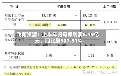 飞南资源：上半年归母净利润6.49亿元，同比增307.31%-第2张图片