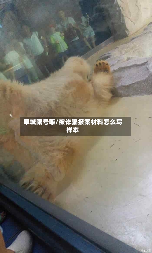 阜城限号嘛/被诈骗报案材料怎么写样本