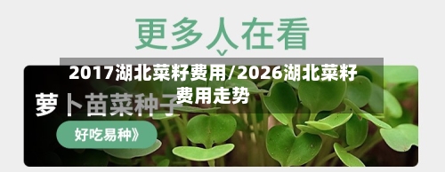 2017湖北菜籽费用/2026湖北菜籽费用走势