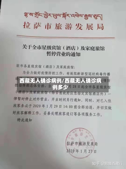 西藏无人确诊病例/西藏无人确诊病例多少-第3张图片
