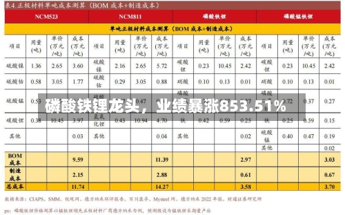 磷酸铁锂龙头，业绩暴涨853.51%-第2张图片