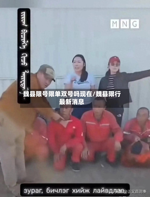 魏县限号限单双号吗现在/魏县限行最新消息-第3张图片