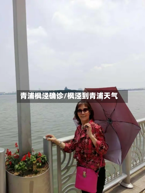 青浦枫泾确诊/枫泾到青浦天气