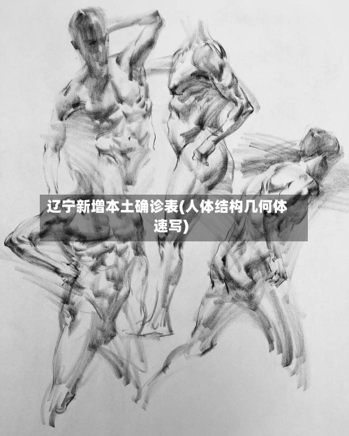辽宁新增本土确诊表(人体结构几何体速写)