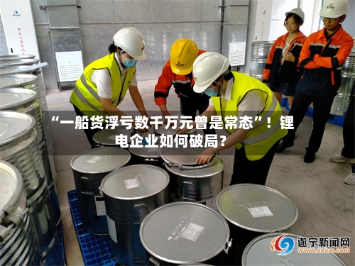 “一船货浮亏数千万元曾是常态”！锂电企业如何破局？-第2张图片