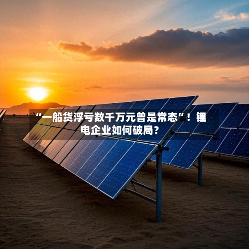 “一船货浮亏数千万元曾是常态”！锂电企业如何破局？-第3张图片