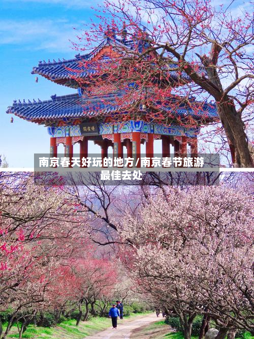 南京春天好玩的地方/南京春节旅游最佳去处