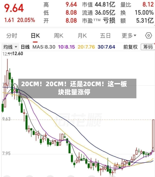 20CM!20CM!还是20CM!这一板块批量涨停-第2张图片
