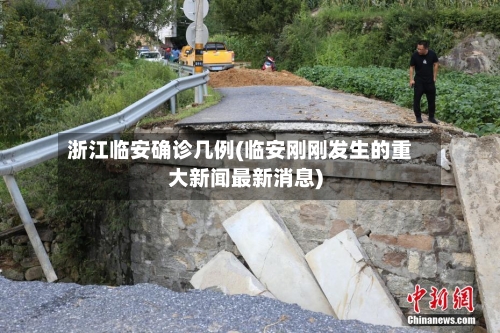 浙江临安确诊几例(临安刚刚发生的重大新闻最新消息)