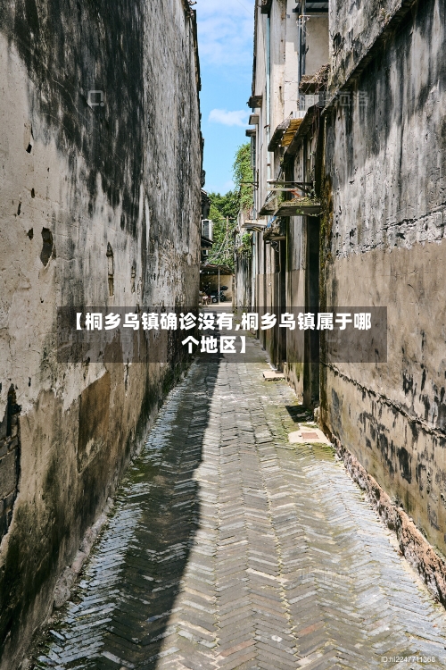 【桐乡乌镇确诊没有,桐乡乌镇属于哪个地区】-第2张图片