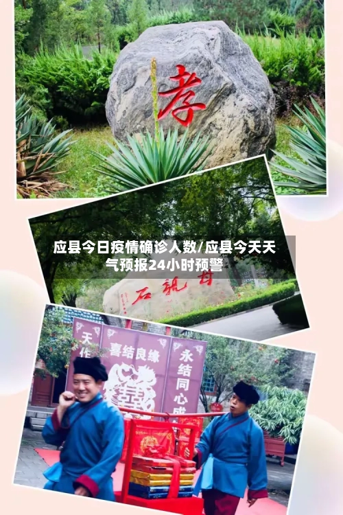 应县今日疫情确诊人数/应县今天天气预报24小时预警-第2张图片