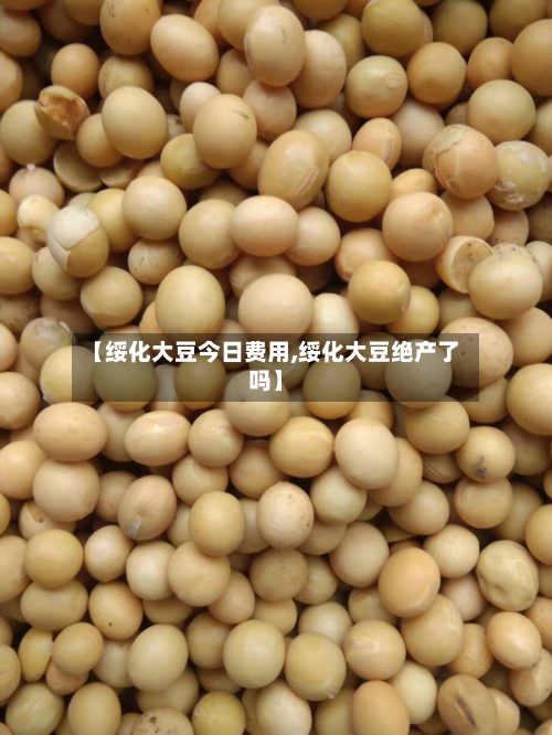 【绥化大豆今日费用,绥化大豆绝产了吗】