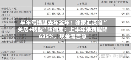 半年亏损超去年全年！徐家汇深陷“关店+转型”阵痛期：上半年净利骤降635%	，现金流告急-第3张图片