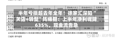 半年亏损超去年全年！徐家汇深陷“关店+转型	”阵痛期：上半年净利骤降635%，现金流告急-第2张图片