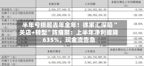 半年亏损超去年全年！徐家汇深陷“关店+转型”阵痛期：上半年净利骤降635%	，现金流告急-第1张图片