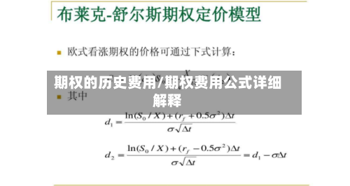 期权的历史费用/期权费用公式详细解释
