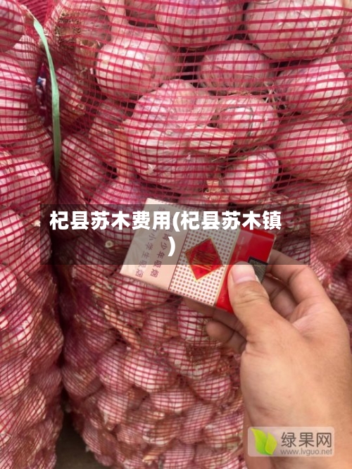 杞县苏木费用(杞县苏木镇)-第2张图片