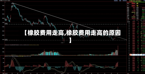 【橡胶费用走高,橡胶费用走高的原因】