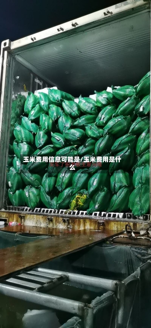 玉米费用信息可能是/玉米费用是什么