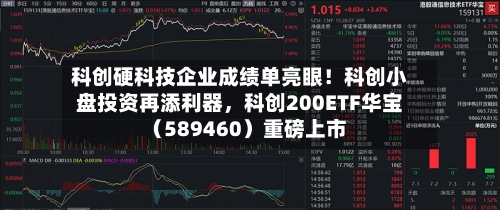 科创硬科技企业成绩单亮眼！科创小盘投资再添利器，科创200ETF华宝（589460）重磅上市-第2张图片