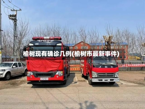 榆树现有确诊几例(榆树市最新事件)-第2张图片