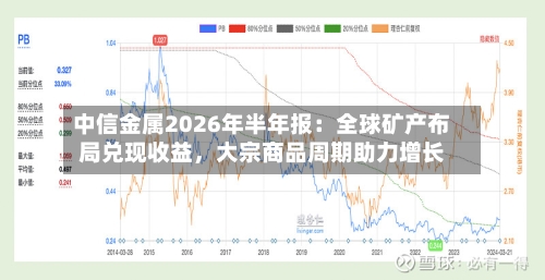 中信金属2026年半年报：全球矿产布局兑现收益，大宗商品周期助力增长-第1张图片