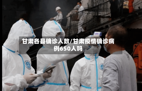 甘肃各县确诊人数/甘肃疫情确诊病例650人吗-第3张图片