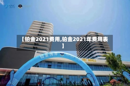 【铂金2021费用,铂金2021年费用表】