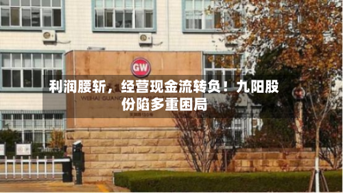 利润腰斩，经营现金流转负！九阳股份陷多重困局-第3张图片
