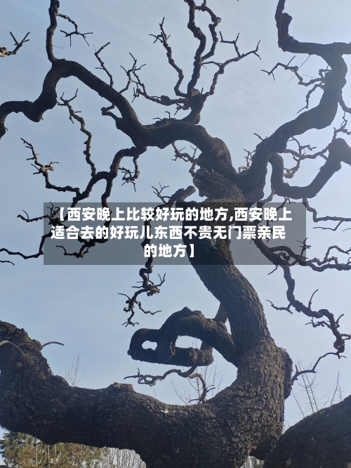 【西安晚上比较好玩的地方,西安晚上适合去的好玩儿东西不贵无门票亲民的地方】-第3张图片