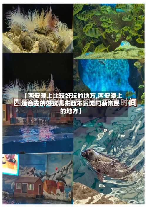 【西安晚上比较好玩的地方,西安晚上适合去的好玩儿东西不贵无门票亲民的地方】-第2张图片