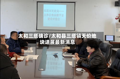 太和三塔确诊/太和县三塔镇天价地块进展最新消息