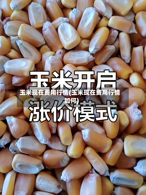 玉米现在费用行情(玉米现在费用行情如何)