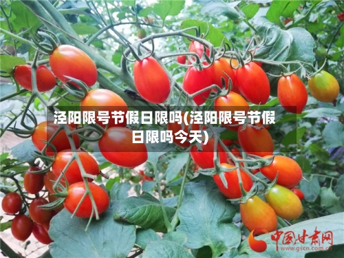泾阳限号节假日限吗(泾阳限号节假日限吗今天)