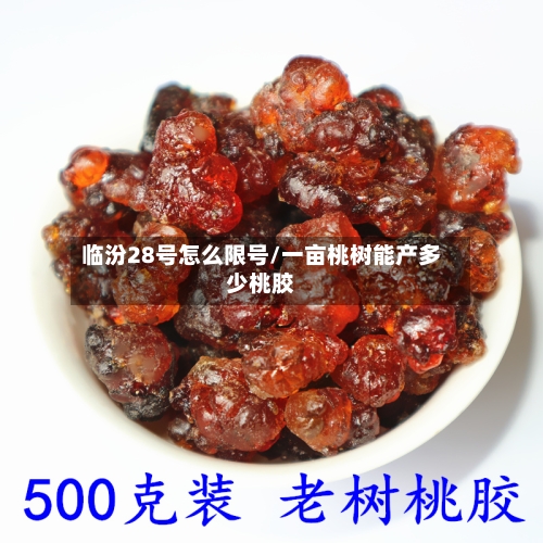 临汾28号怎么限号/一亩桃树能产多少桃胶-第2张图片