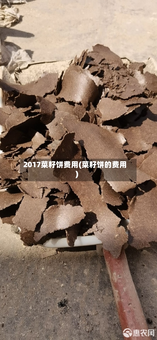2017菜籽饼费用(菜籽饼的费用)-第2张图片