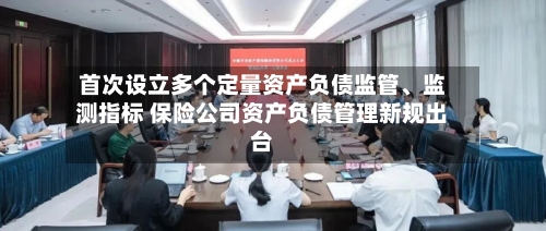 首次设立多个定量资产负债监管	、监测指标 保险公司资产负债管理新规出台-第2张图片