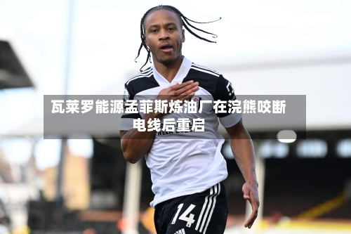 瓦莱罗能源孟菲斯炼油厂在浣熊咬断电线后重启