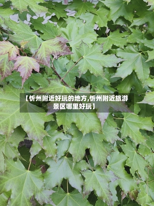 【忻州附近好玩的地方,忻州附近旅游景区哪里好玩】-第2张图片