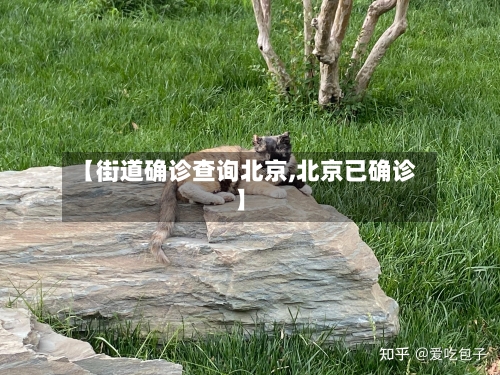 【街道确诊查询北京,北京已确诊】