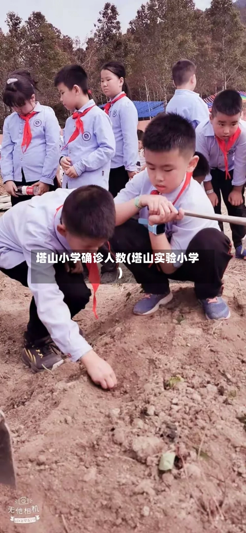塔山小学确诊人数(塔山实验小学)-第2张图片