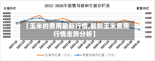 【玉米的费用最新行情,最新玉米费用行情走势分析】