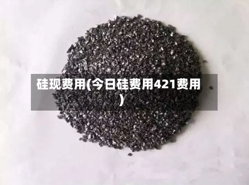 硅现费用(今日硅费用421费用)-第3张图片