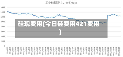 硅现费用(今日硅费用421费用)