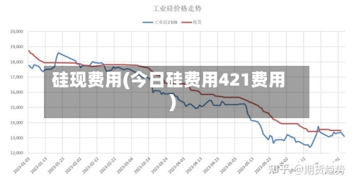 硅现费用(今日硅费用421费用)-第2张图片