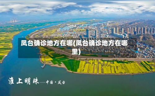 凤台确诊地方在哪(凤台确诊地方在哪里)-第2张图片