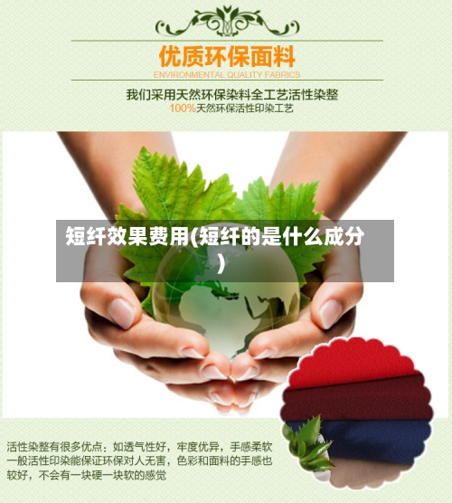 短纤效果费用(短纤的是什么成分)-第2张图片