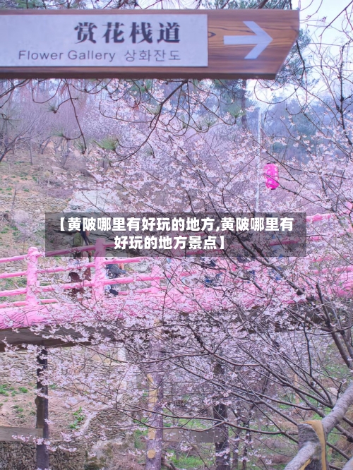 【黄陂哪里有好玩的地方,黄陂哪里有好玩的地方景点】